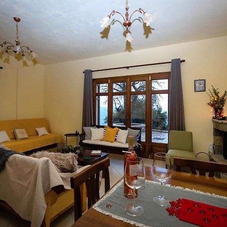 Meli Apartments Arachova Buitenkant foto